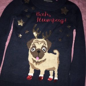 “Ugly” Christmas pug sweater